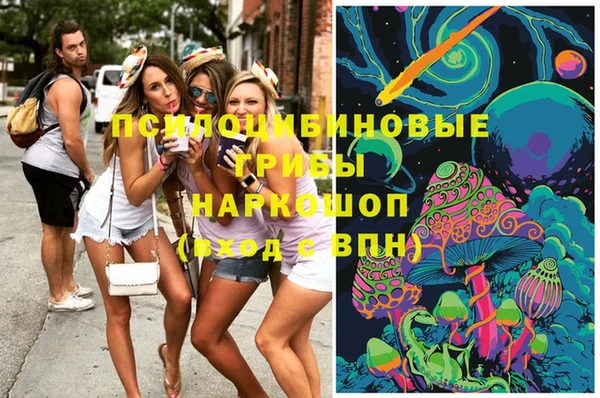 Альфа ПВП Осинники