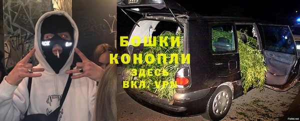 МДПВ Осташков