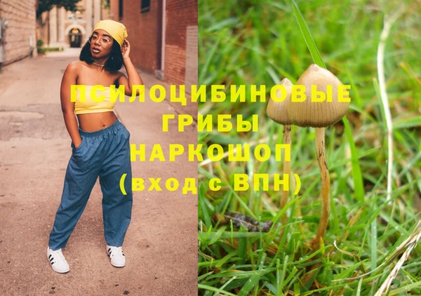 спиды Гатчина