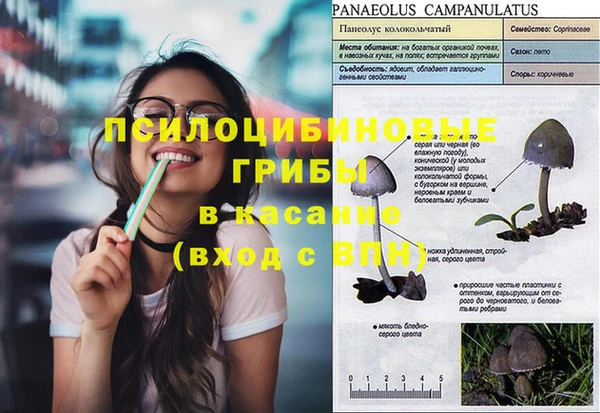 Альфа ПВП Осинники