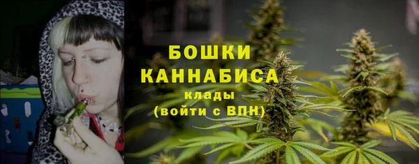 Альфа ПВП Осинники