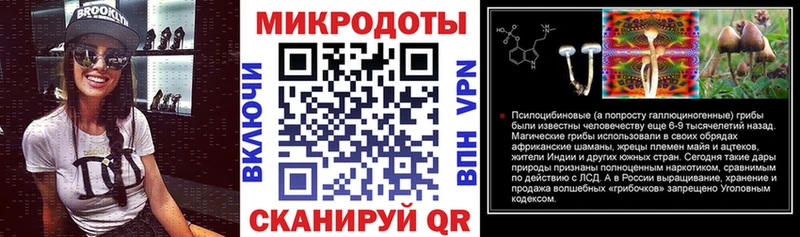 Галлюциногенные грибы Psilocybe  даркнет сайт  Заинск 