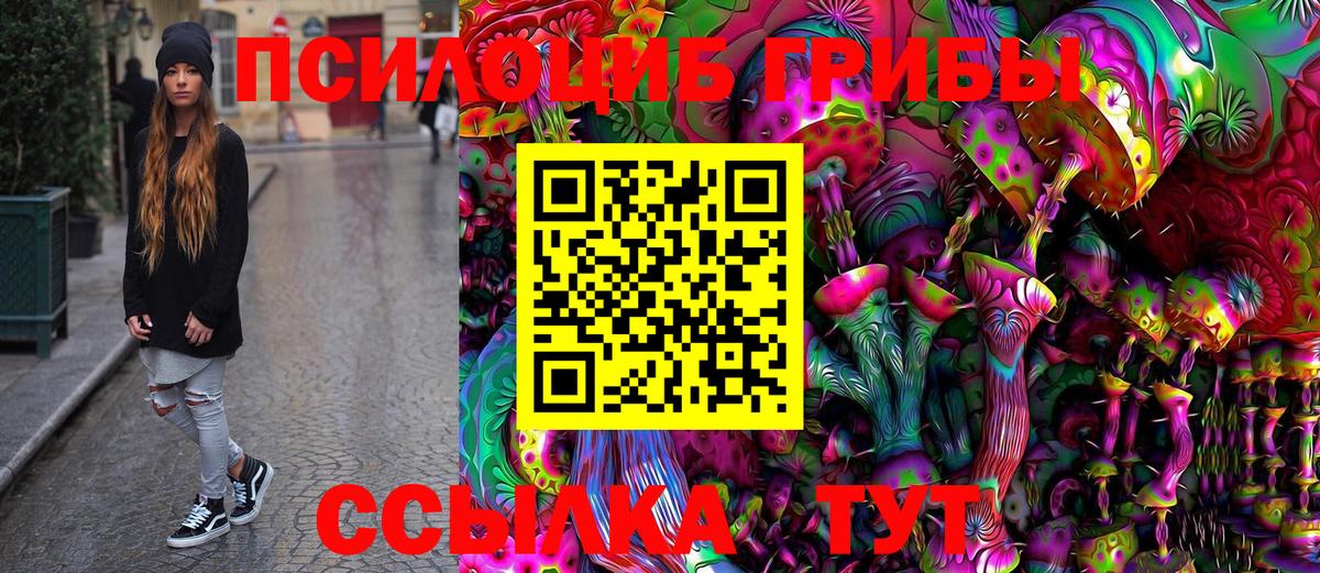 даркнет сайт  Заинск  Псилоцибиновые грибы ЛСД 