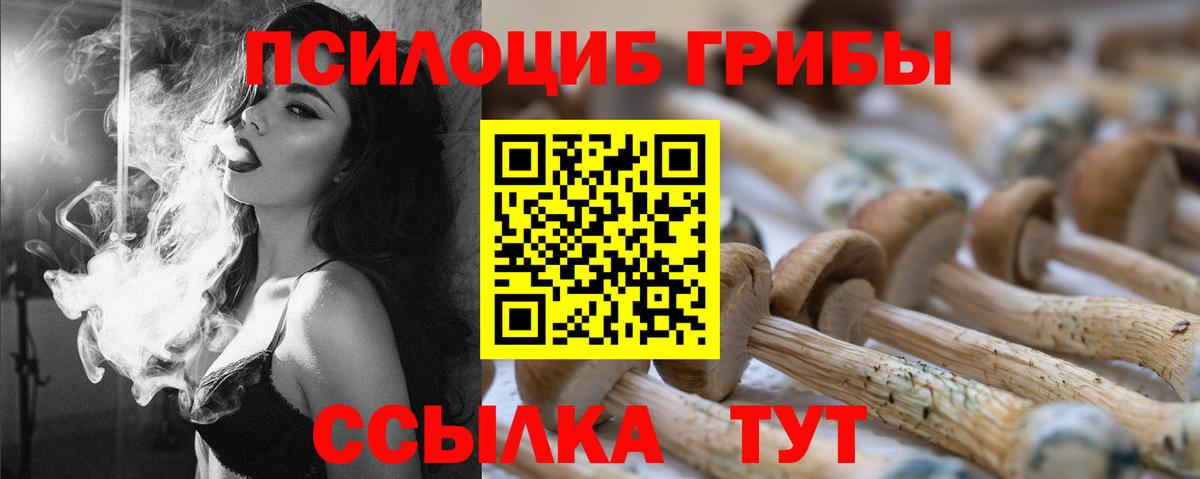 Псилоцибиновые грибы Psilocybe Заинск