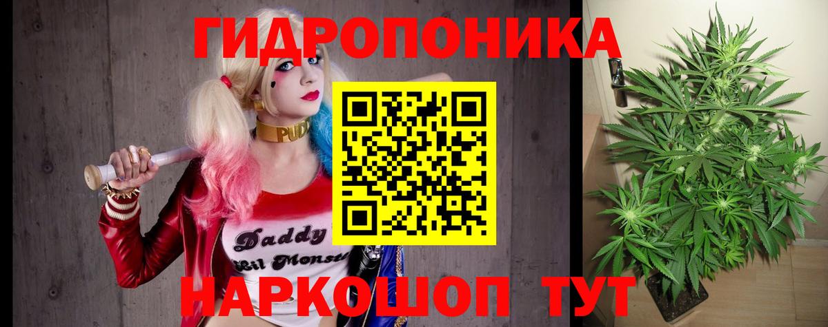 Каннабис планчик Заинск